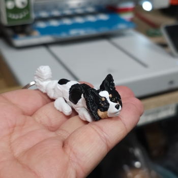 Papillon tricolor - brelok do kluczy